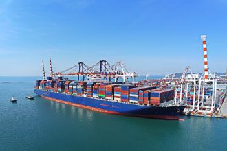 Import & Export Division
